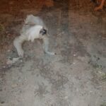 WhatsApp-Image-2019-06-24-at-22.12.51