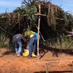 Produtores-rurais-696×383