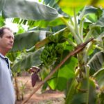 WhatsApp-Image-2018-08-28-at-11.04.39-696×464