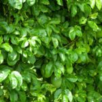 WhatsApp-Image-2019-04-11-at-12.01.14-696×464