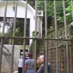 WhatsApp-Image-2019-04-25-at-11.12.25-1