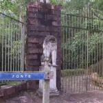 WhatsApp-Image-2019-04-25-at-11.14.48