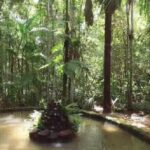 WhatsApp-Image-2019-04-25-at-11.14.57-696×332