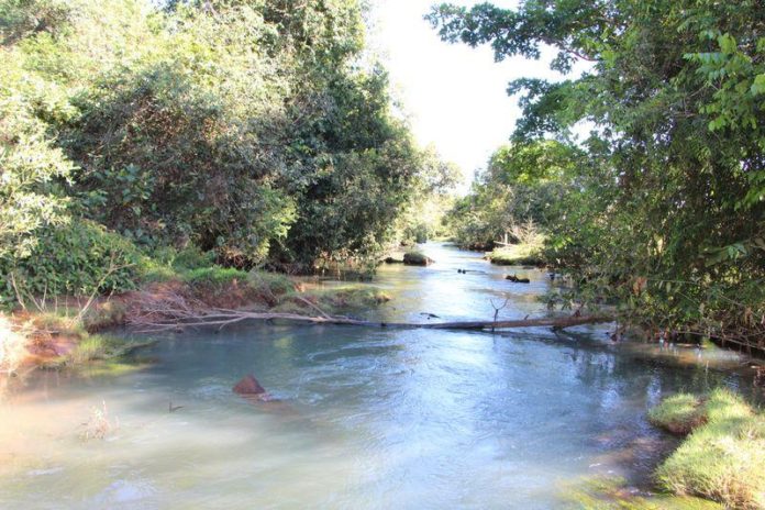 Região Norte de MT ignora potencial turístico da Amazônia
