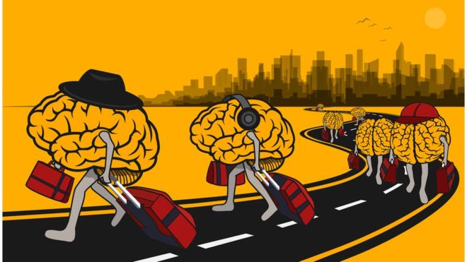 Fuga de cérebros: os doutores que preferiram deixar o Brasil para continuar pesquisas em outro país