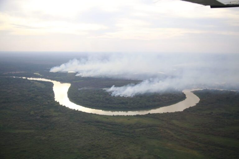 Incêndios que atingem o Pantanal já queimaram 380 mil hectares em Poconé e Barão de Melgaço