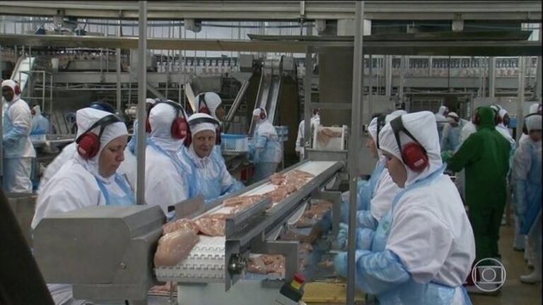 Filipinas suspendem temporariamente importações da carne de frango do Brasil por medo de coronavírus