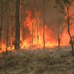 incendio