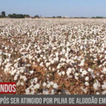 capa corresp 1709
