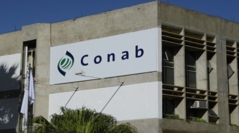 Conab: preço do arroz deve perder sustentação e cair nas próximas semanas