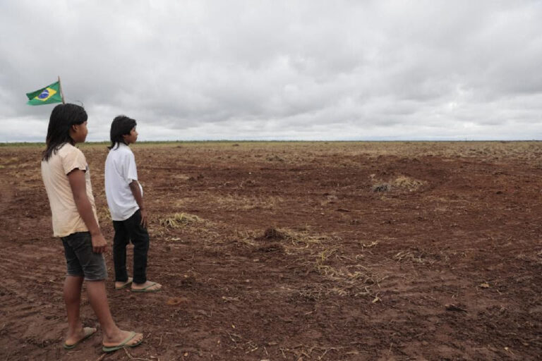 Índios Xavantes decidem plantar arroz e dão primeiro passo rumo à independência