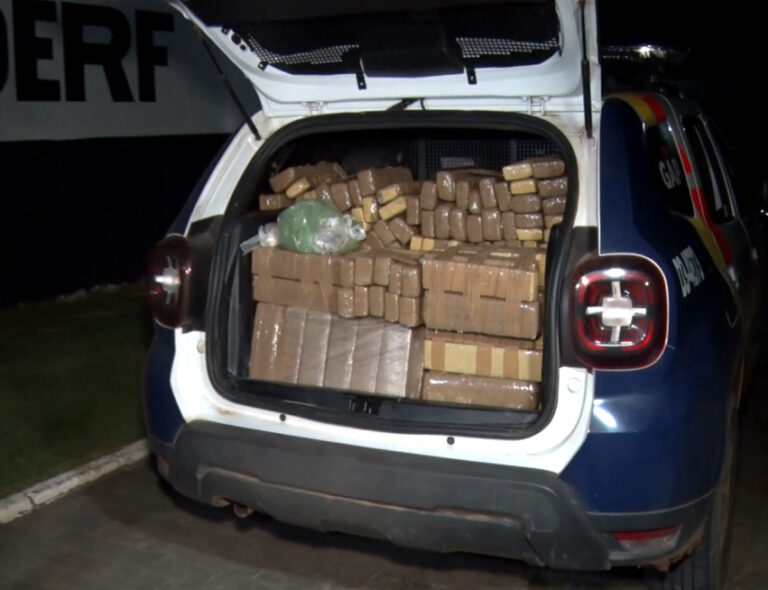 Polícia Militar apreende cerca de 300 quilos de substância análoga maconha