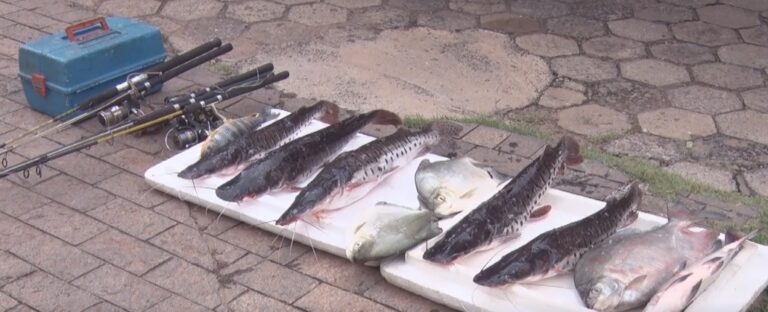 Policia Ambiental e Sema realiza apreensão de 4 barcos e diversos peixes