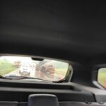 WhatsApp Image 2021-02-23 at 14.09.28