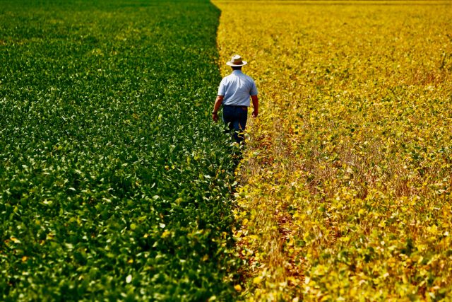 Plano Collor Rural: STF suspende processos judiciais de produtores