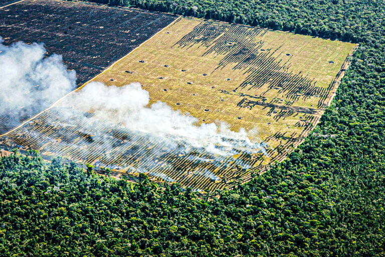 Governo investe R$ 73 milhões no combate aos incêndios e desmatamento ilegal e não participa de arrecadação de recursos