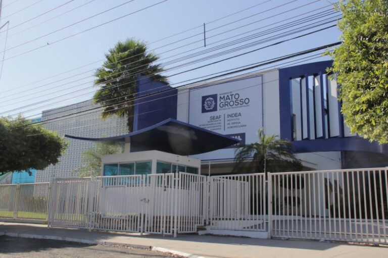 Auditoria de Ministério pode auxiliar Mato Grosso a ser zona livre de aftosa sem vacinação