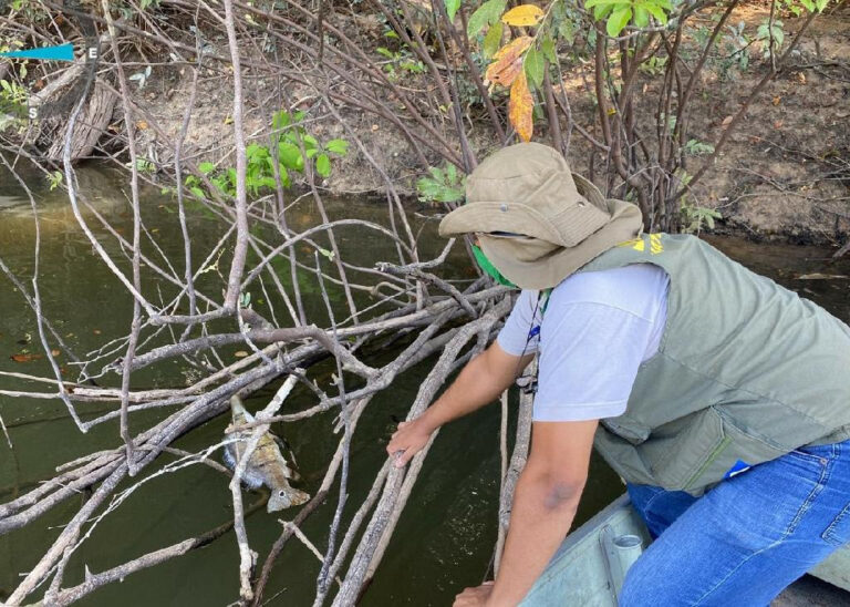 Sema-MT vistoria Rio Aripuanã após denúncia de mortandade de peixes