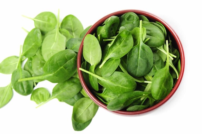 Nutricionista recomenda alimentos que melhoram a saúde do cérebro