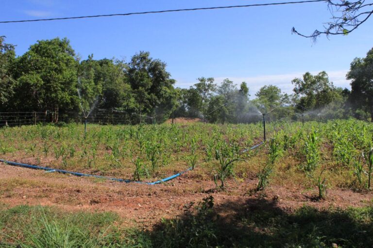 Empaer alerta produtores para o prazo de recadastramento na Tarifa Rural de Energia
