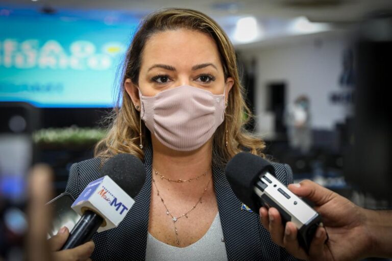 Redução de taxas e licenciamento ambiental 30% mais rápido incentivam quem quer empreender em MT , avalia secretária