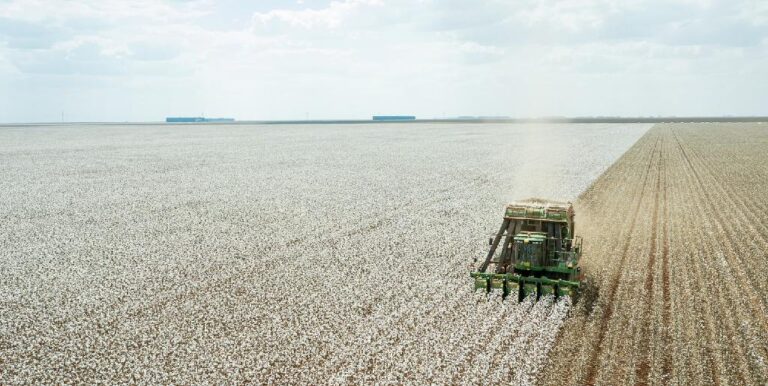FCO disponibiliza R$ 320 milhões em crédito para setores empresarial e rural de Mato Grosso