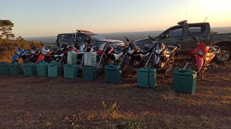 Gefron apreende 615 quilos de drogas na fronteira com a Bolívia