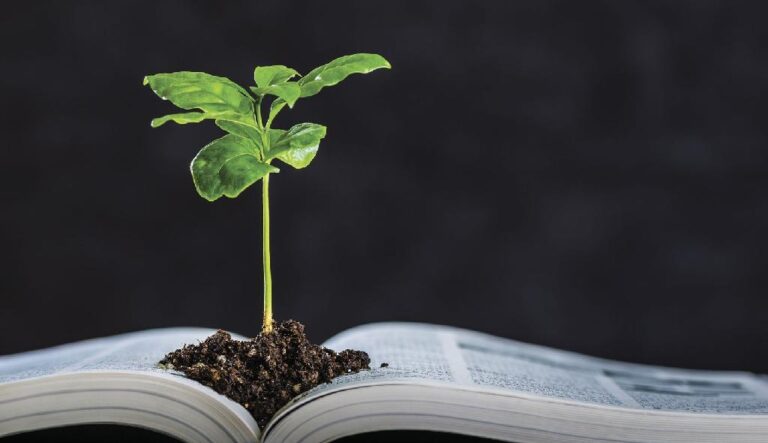 Seduc lança edital para seleção de projetos de educação ambiental e sustentabilidade