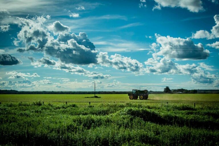 Mato Grosso é o Estado que mais validou Cadastros Ambientais Rurais no Brasil