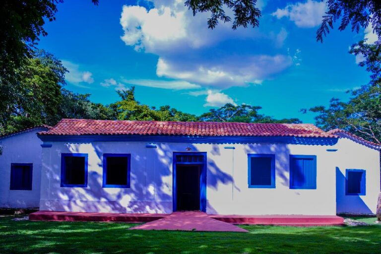 Museu de História Natural oferece experiências sustentáveis