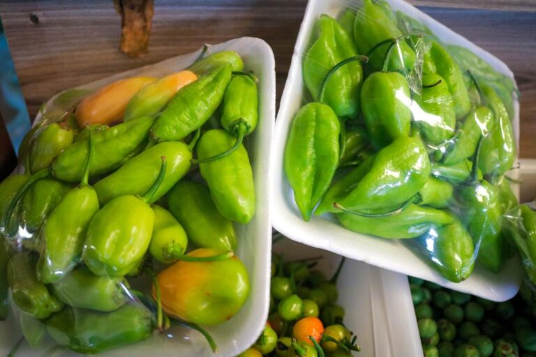 Cotação Seaf: pimenta-de-cheiro sobe 180% em cinco meses