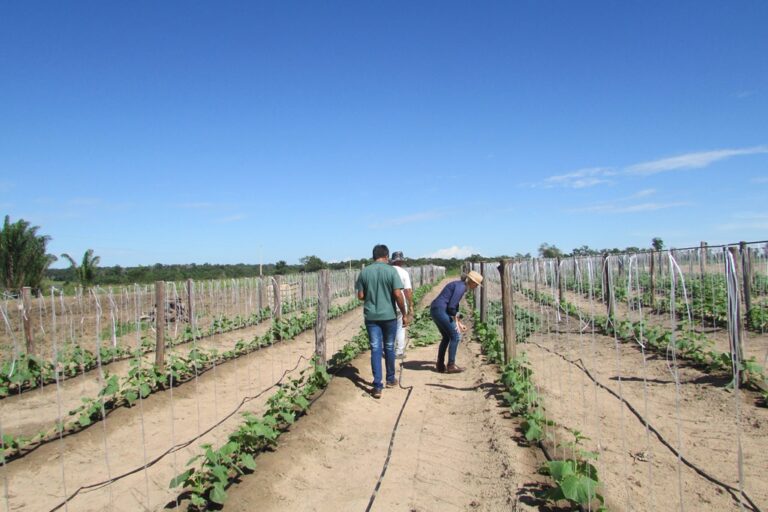 Prazo de credenciamento para Feira da Família encerra segunda; saiba como participar