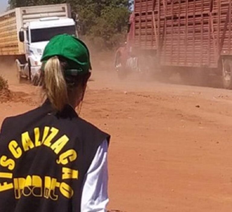 Treinamento simulado de casos de febre aftosa vai mobilizar região Sul de MT