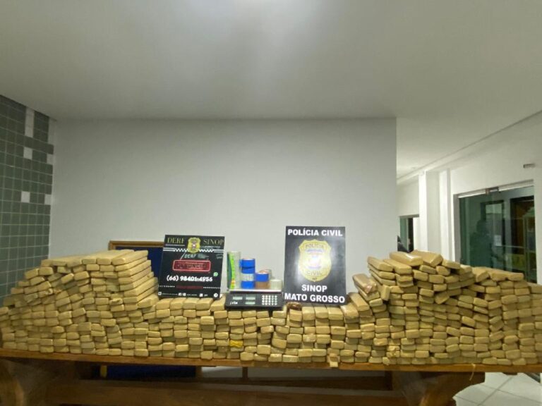 Polícia Civil apreende 400 quilos de maconha enterrados em casa na zona rural de Sinop
