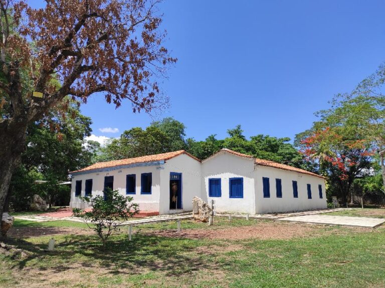 Museu de História Natural de MT realiza oficinas e atividades gratuitas para crianças