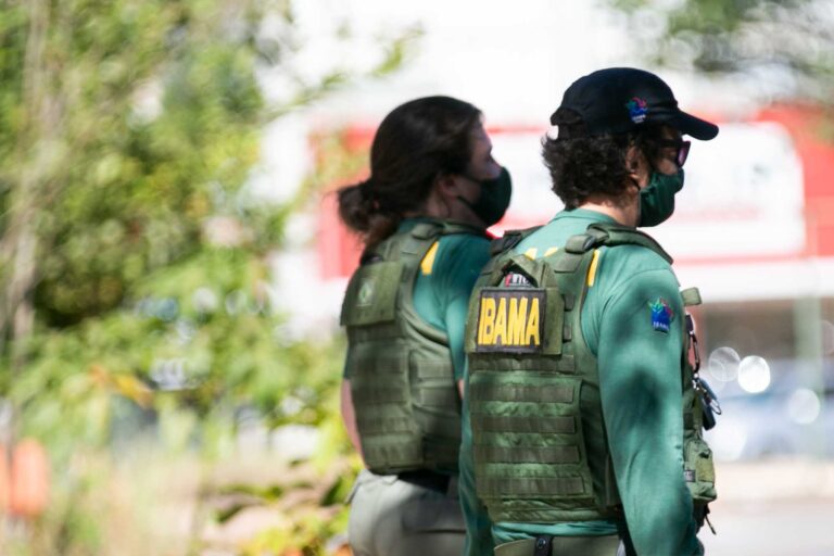 Taxa TCFA do Ibama pode ser cancelada e beneficiar empresas