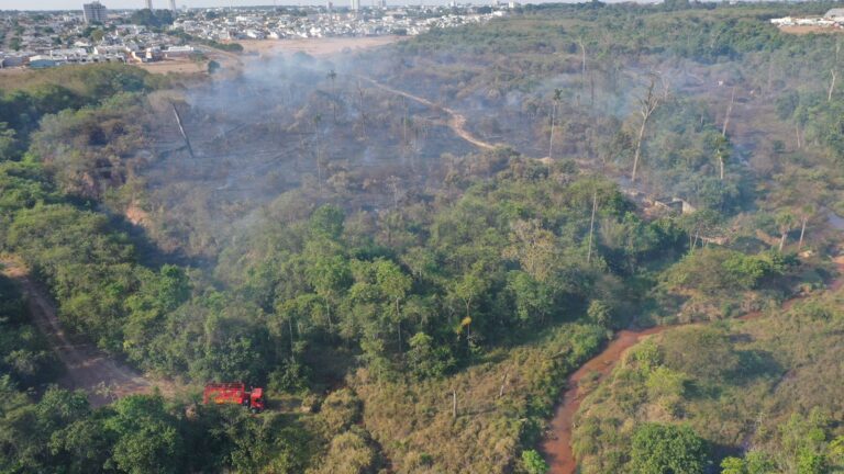 Após queimada destruir 12 hectares de reserva, prefeitura faz alerta sobre crime ambiental e avalia perdas