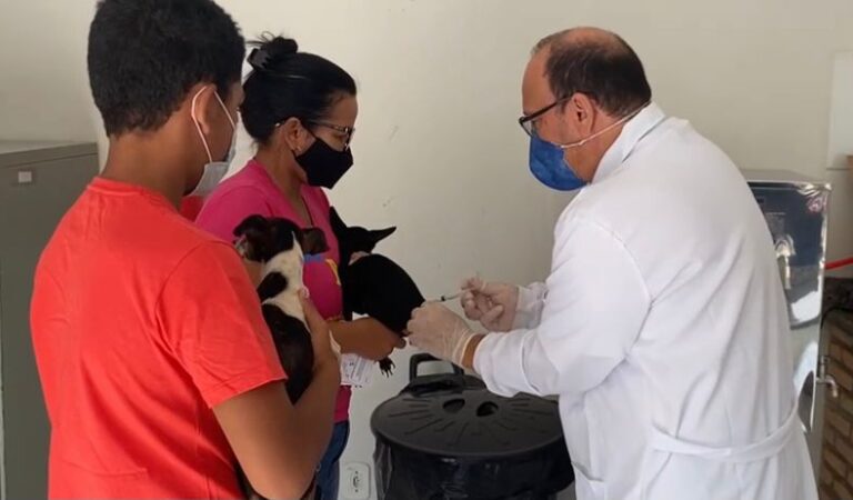Vacinação itinerante antirrábica continua em cinco bairros de Sinop; confira