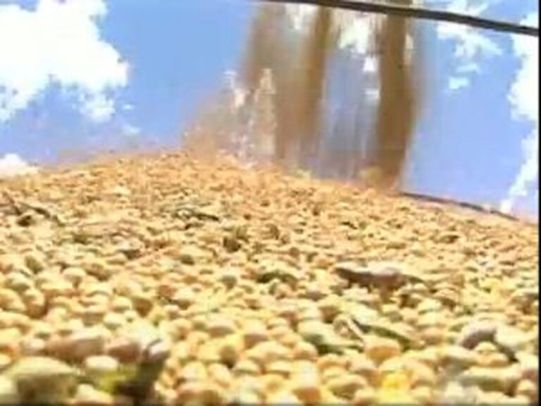 Mato Grosso lidera safra de grãos em 2022, segundo IBGE