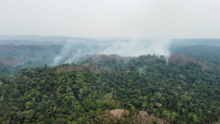 Brigadistas apoiam combate às chamas no Parque Cristalino II; incêndio dura um mês