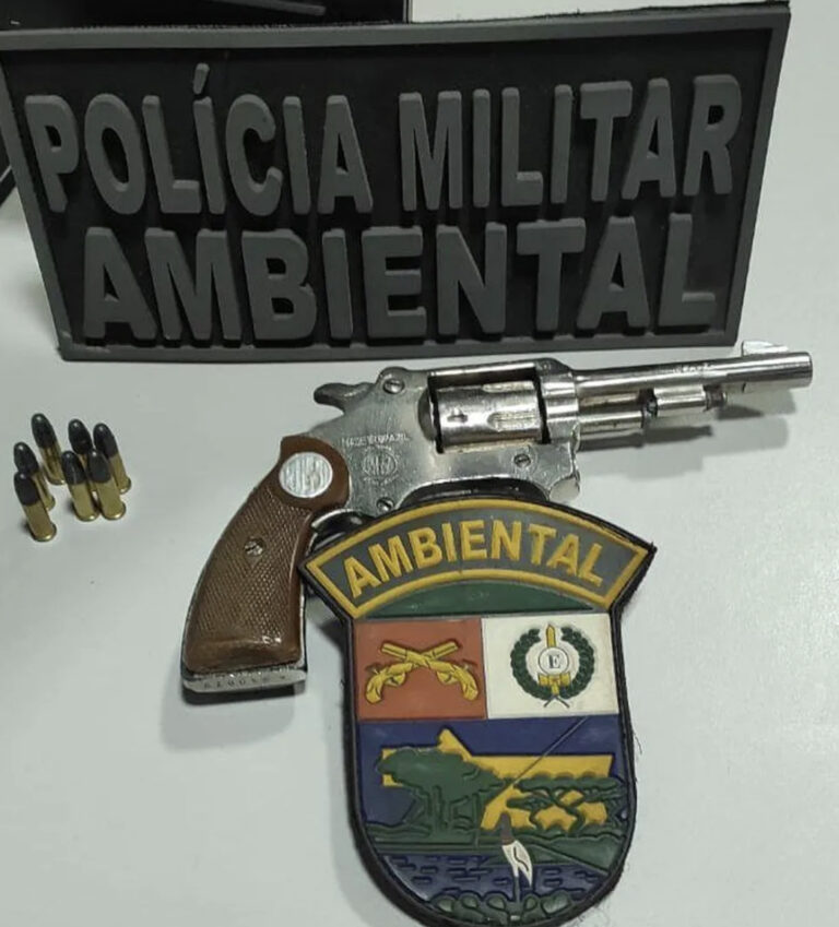 Homem é preso por porte ilegal de arma em zona rural de MT