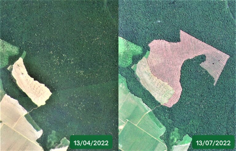 Mais de 35% das multas ambientais de 2022 foram aplicadas com fiscalização remota