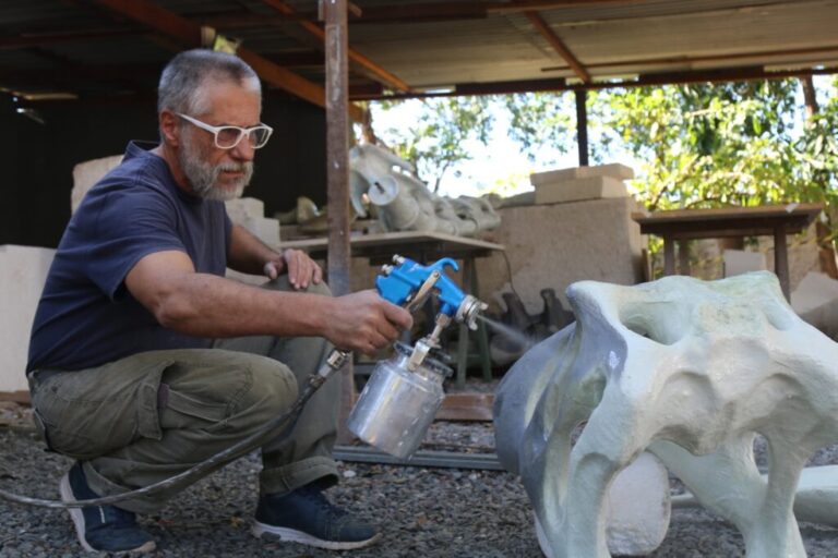 Museu de Mato Grosso tem a maior réplica de esqueleto de dinossauro do Brasil
