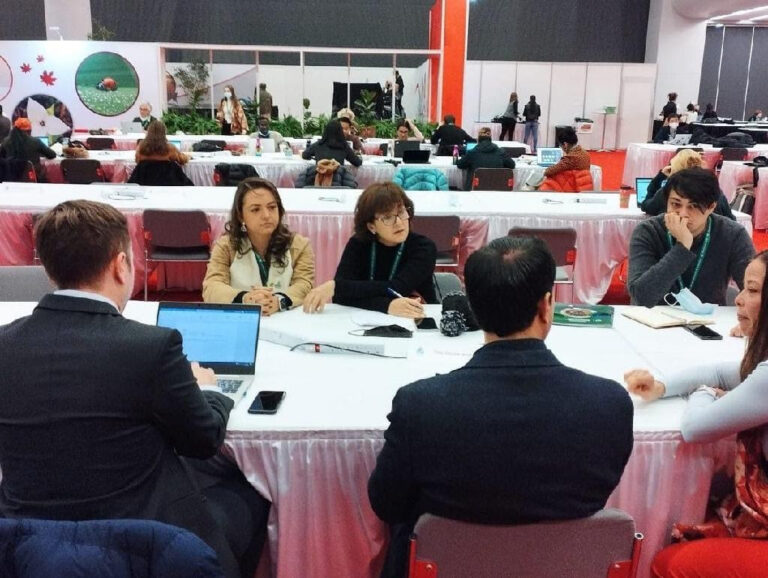 Mato Grosso contribui com 62% do território preservado enquanto meta da COP15 é 30%