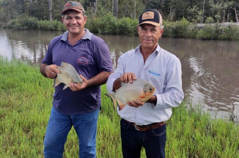Construção de 800 tanques de peixes com assistência da Empaer gera renda a agricultores