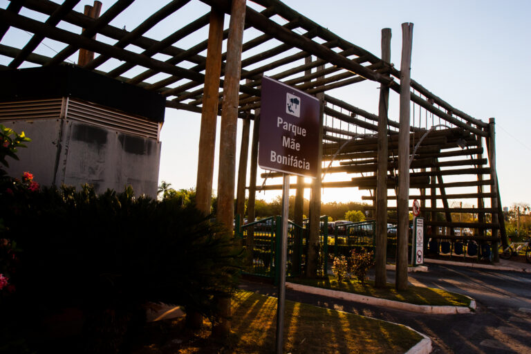 Caminhada SER Família contra a violência doméstica acontece neste sábado (18)