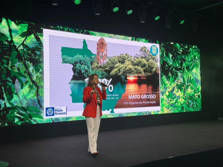 Sema-MT apresenta novo Sisflora 2.0 em encontro nacional e manejo florestal como estratégia para descarbonização até 2035