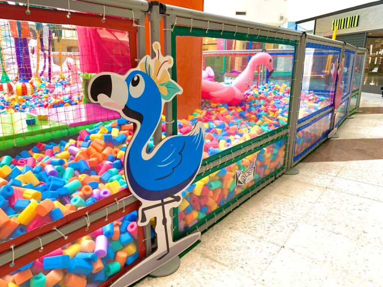 ‘Parque dos Flamingos’ é atração para as crianças no Goiabeiras