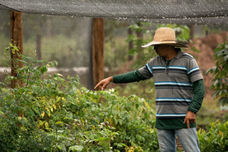 CELEBRA CUIABÁ+VERDE  Ação Celebra Cuiabá+Verde presenteia a cidade com 4 mil mudas de árvores nativas