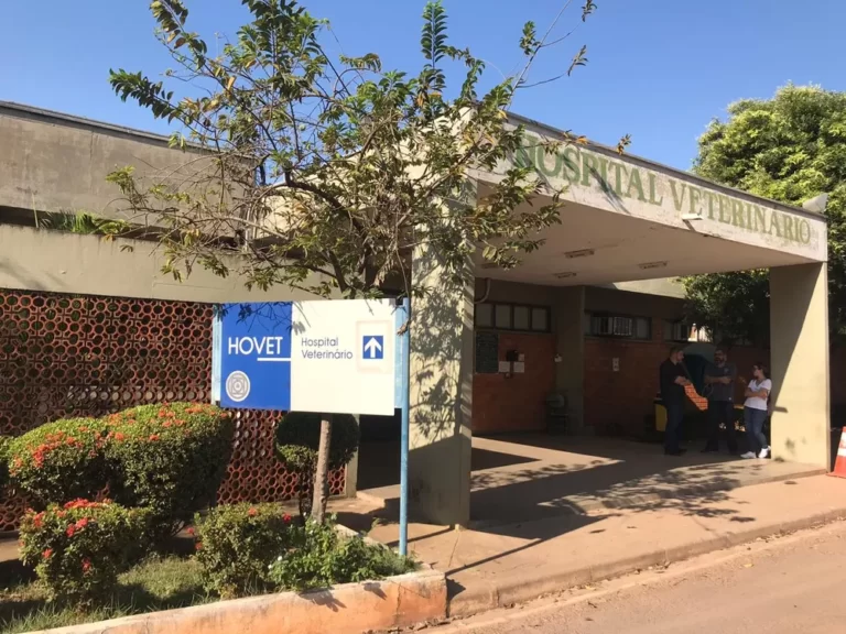 Hospital Veterinário da UFMT suspende atendimentos após decisão de corte de benefícios salariais